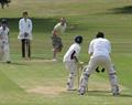 u13 Dads v Lads
